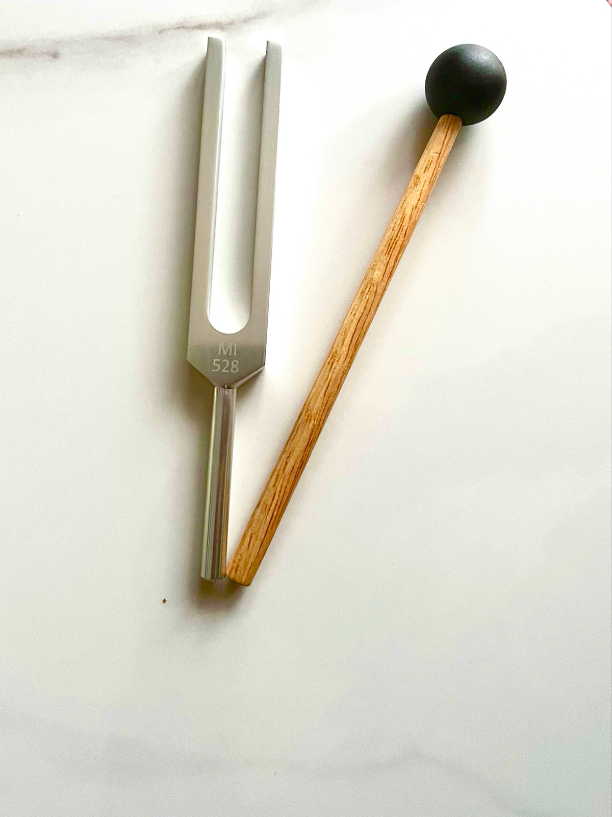 528 Hz Tuning Fork – Sound & Reflection