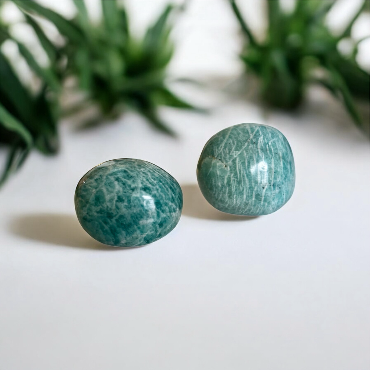 Amazonite Palm Stone Round 3-4cm [per Stone]